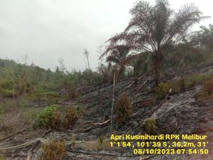 POLSEK SUNGAI MANDAU POLRES SIAK UNGKAP PELAKU PEMBAKARAN HUTAN DAN LAHAN