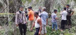 Penemuan mayat tanpa busana sudah keadaan membusuk di pulo joring kecamatan lubuk barumun