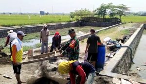 Babinsa Koramil 0819/10 Bangil Bersama Warga Kerja Bakti Pembuatan Kolam Ikan Lele