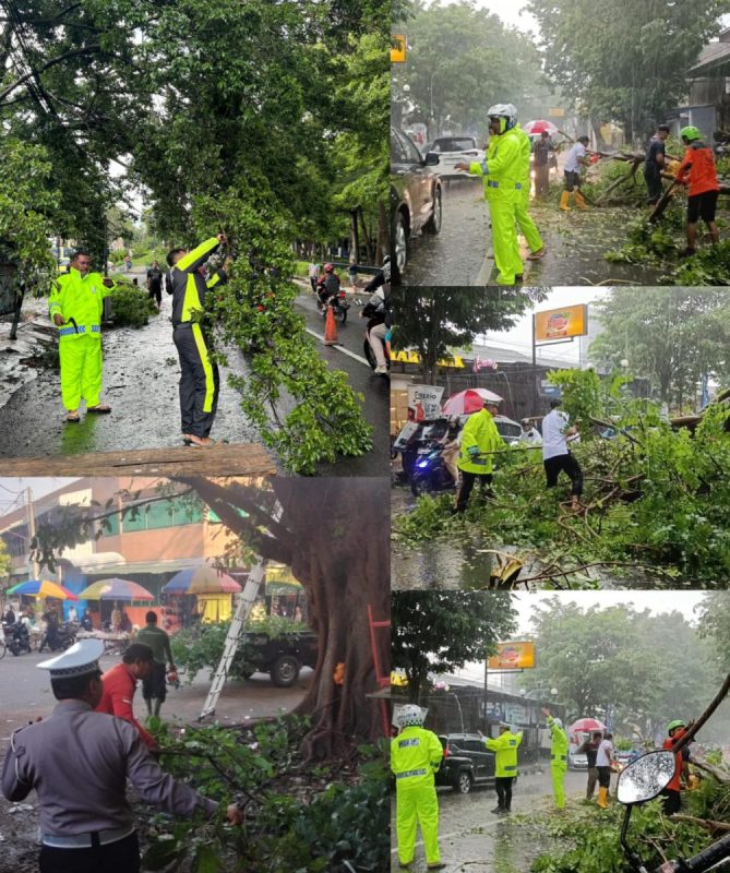 Sat Lantas Polres Kediri Himbau Pengguna Jalan Waspadai Pohon Tumbang Saat Hujan*