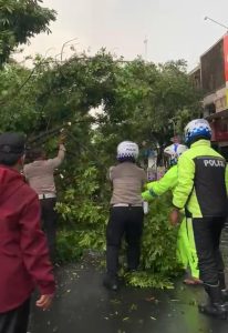 Aksi Cepat Tanggap Bencana Sat Lantas Polres Kediri Dalam Mengatasi Pohon Tumbang Saat Musim Hujan*