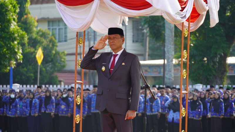 Meneladani Pahlawan, Memerangi Kemiskinan  Peringatan Hari Pahlawan Kabupaten OKI