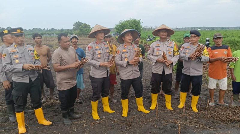 Polres Ogan Ilir Tanam Singkong sebagai Upaya Mendukung Program Ketahanan Pangan Nasional**