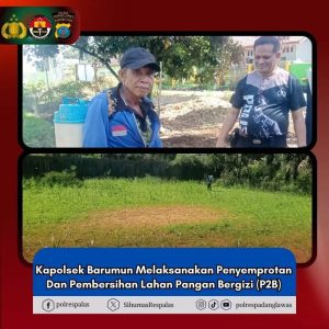 Kapolsek Barumun Melaksanakan Penyemprotan Dan Pembersihan Lahan Pangan Bergizi (P2B)