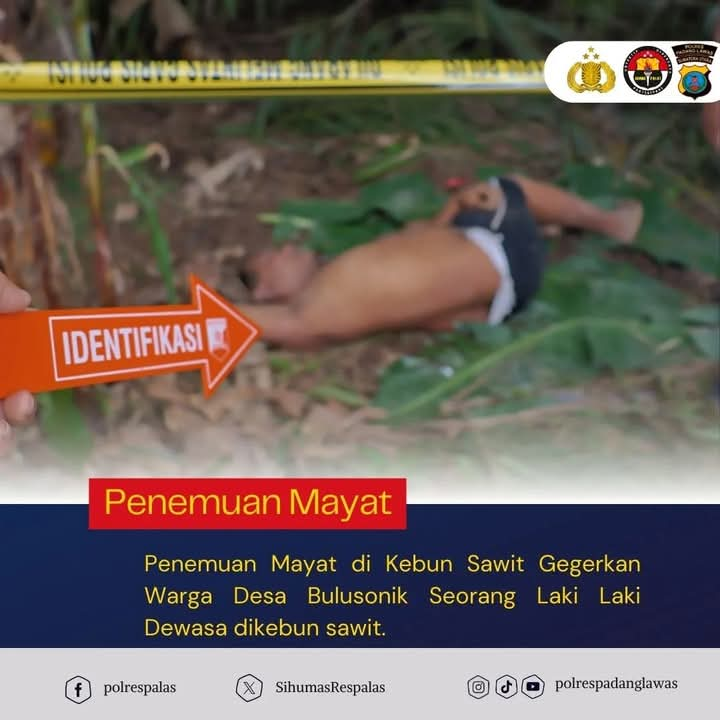 Penemuan mayat di kebun sawit,gegerkan warga bulu sonik