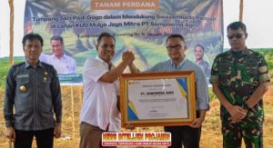 PT Sampoerna Agro Tbk Kolaborasi Dengan Dirjenbun Tanami Lahan PSR Dengan Padi