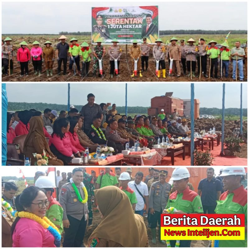 DALAM RANGKA MENDUKUNG KETAHANAN PANGAN NASIONAL, POLRES LABUHAN BATU MENGGELAR PENANAMAN JAGUNG SERENTAK SEBANYAK 1 JUTA HEKTAR