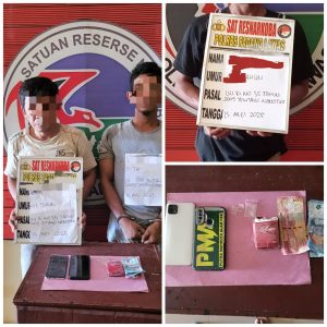 2 pengedar dan 1 pengguna narkoba di gulung sat narkoba polres padang lawas