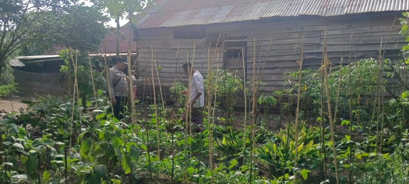 Edukasi dan Motivasi Masyarakat, Aiptu Anjodhi Ibrahim Rawat Tanaman Terong Hijau
