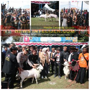 SKDG Piala Gubernur 2025, Bupati Dukung Pelestarian Domba Garut Sebagai Identitas dan Potensi Ekonomi