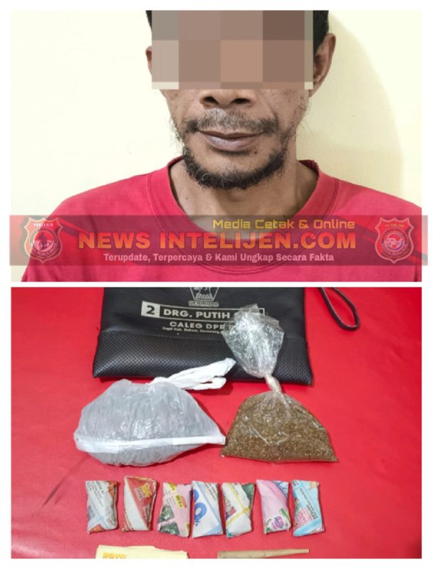 Satres Narkoba Polres Purwakarta Ringkus Pengedar Ganja, Segini Barang Bukti Yang Diamankan