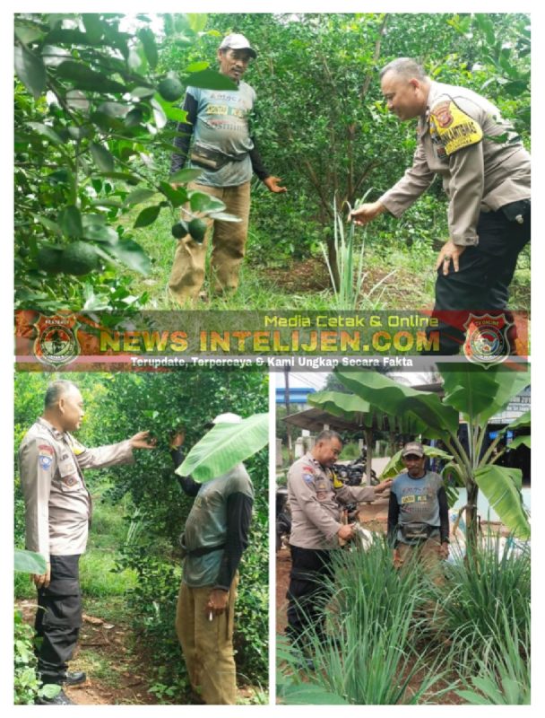 Dukung Asta Cita, Bhabinkamtibmas Polsek Campaka Sambang Ke Petani Di Purwakarta