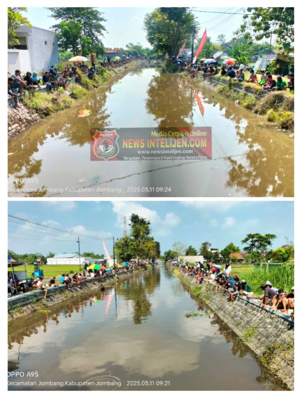 PG Jombang Baru Tebar 700 Kg Ikan, Ribuan Warga Serbu Kali Gentengan Sambut Buka Giling 2025.