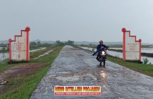 Masyarakat Desa Tanjung Aur Sangat Membutuhkan Lampu Jalan, Terutama di Jalan Penghubung Desa