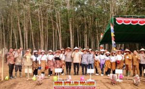 Pj Bupati dan Kapolres OKI Tanam Jagung Serentak 