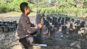 Bhabinkamtibmas Polsek Barumun tengah Aipda Amir Hamzah Harahap,giat pengecekan perawatan pekarangan bergiji