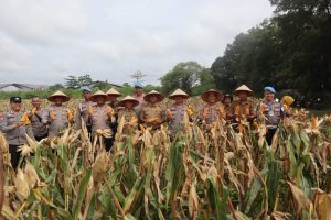 Kapolsek Indralaya Hadiri Panen Raya Jagung Program Ketahanan Pangan di Desa Lorok