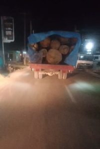 Truk bermuatan kayu gelondongan yang melintas di jalan lintas barumun tengah menuju paluta jadi bahan perbincangan warga di kedai kopi