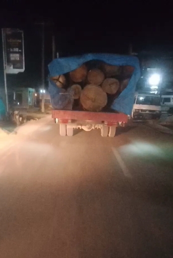 Truk bermuatan kayu gelondongan yang melintas di jalan lintas barumun tengah menuju paluta jadi bahan perbincangan warga di kedai kopi
