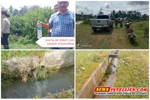 DIDUGA SAMPLE YANG DIBAWA DINAS LINGKUNGAN HIDUP ATAS CPO PMKS PT.TORGANDA YANG MELUAP HINGGA KELUAR AREA PABRIK TIDAK SESUAI FAKT