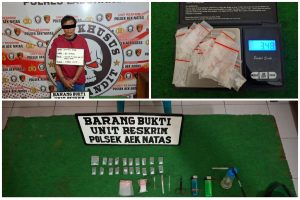 Polsek Aek Natas Polres Labuhanbatu Berhasil Mengungkap Peredaran Narkotika Jenis Sabu-Sabu Di Desa Perkebunan Padang Halaban