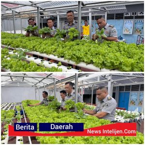 KEPALA RUTAN KELAS I PALEMBANG, DAVID ROSEHAN, MENINJAU LANGSUNG DAN MENDUKUNG PENUH KEGIATAN KETAHANAN PAMGAN PANEN SAYUR HIDROPONIK