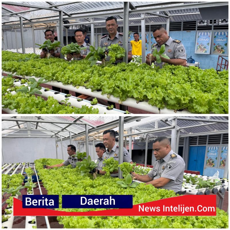 KEPALA RUTAN KELAS I PALEMBANG, DAVID ROSEHAN, MENINJAU LANGSUNG DAN MENDUKUNG PENUH KEGIATAN KETAHANAN PAMGAN PANEN SAYUR HIDROPONIK