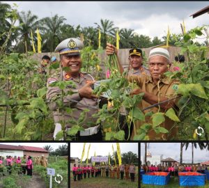 Polres padang lawas dukung ketahanan pangan,ikuti launching serentak program P2L
